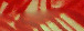 Red Marble