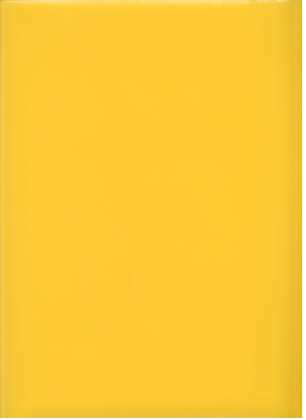 Canary Yellow