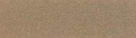 Light Gold Metallic