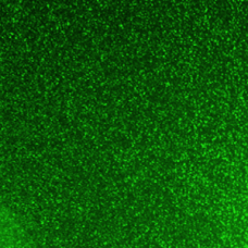 Ultra Green