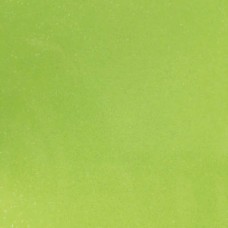 Ultra Lime Tree
