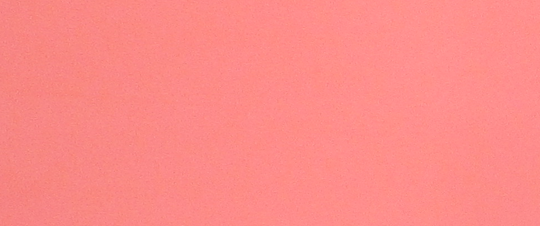 Hibiscus Coral