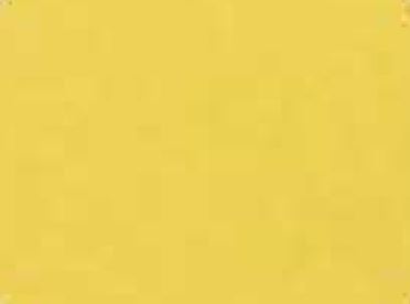Maize Yellow
