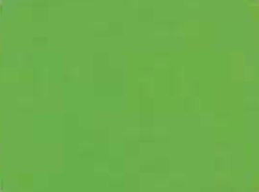 Neon Green