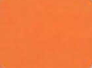 Neon Orange