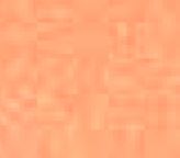 Neon Orange