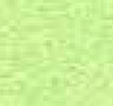 Neon Yellow