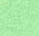 Neon Green