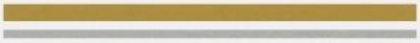 Gold Met-Silver Met
