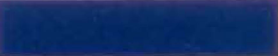 0004 Pinstripe Electric Blue