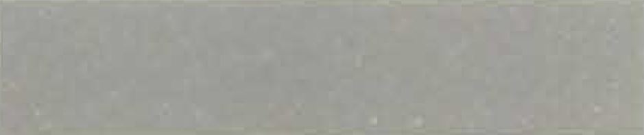 Dusty Silver
