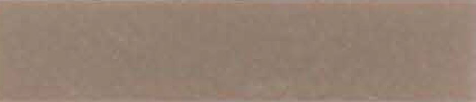 0008 Pinstripe Light Mocha