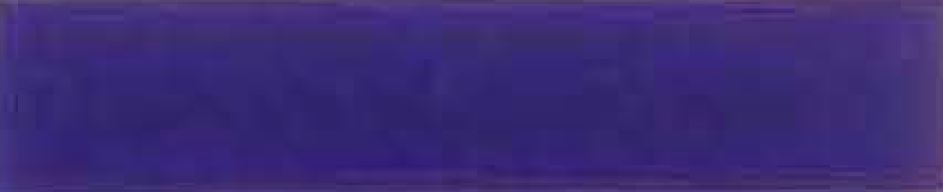 Bright Purple