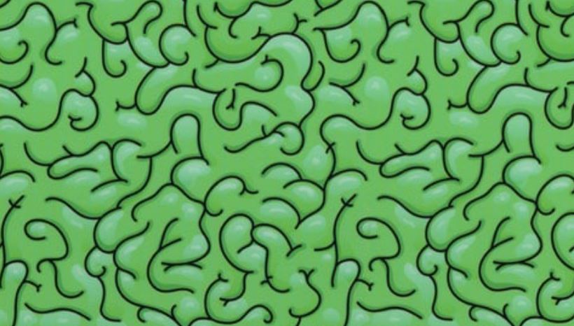 Zombie Brains